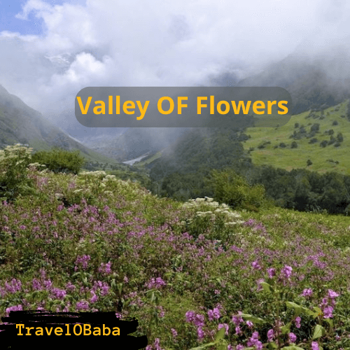 Valley of flowers new pics