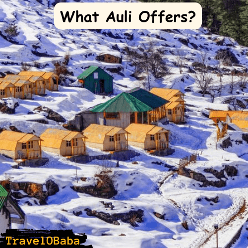 What Auli Offers