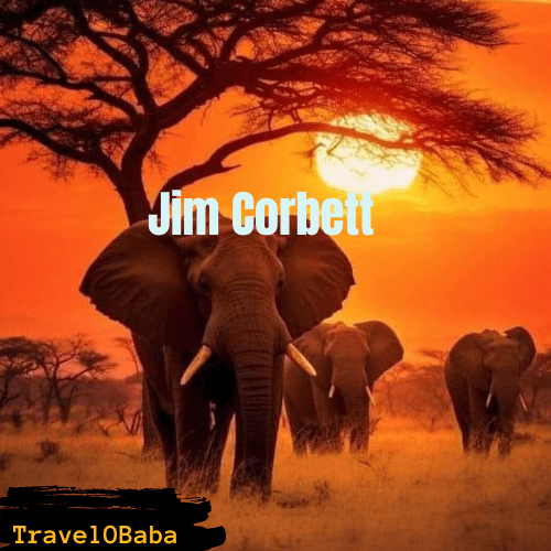 Jim Corbett