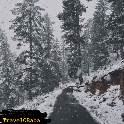 Uttarakhand Winter Trourism Snow road